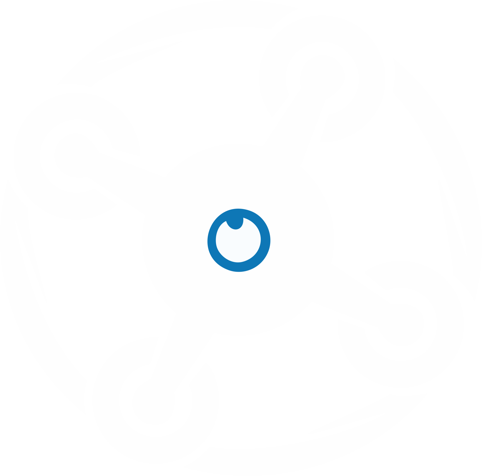 DroneBranco