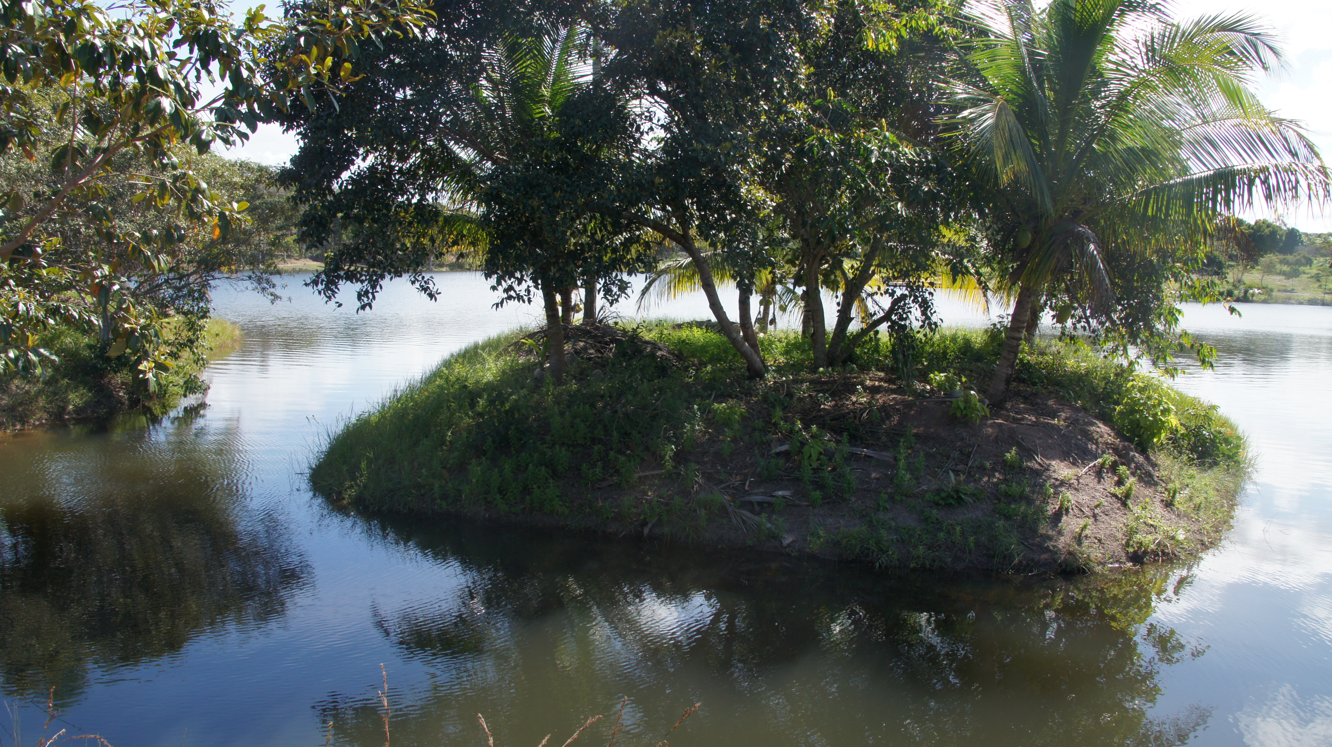 Ambiental